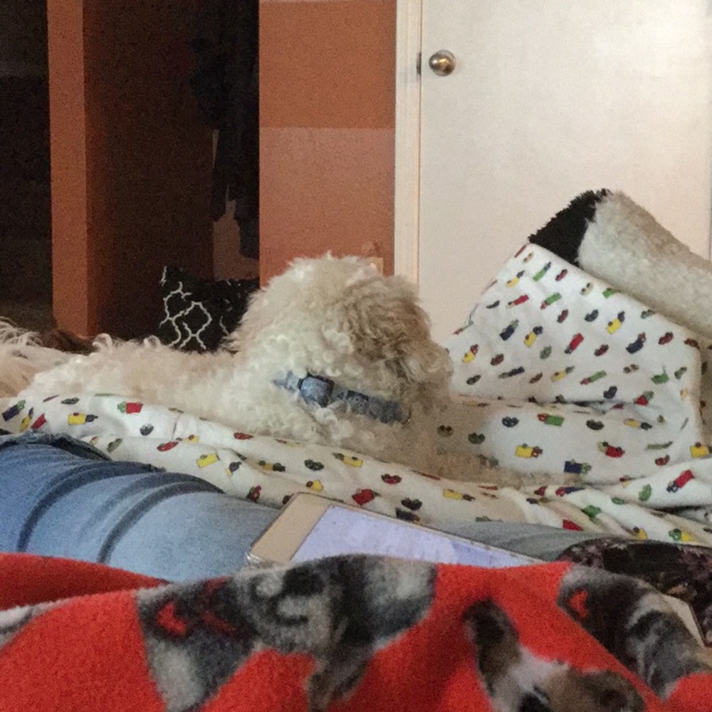 Meet your Posher, Genna